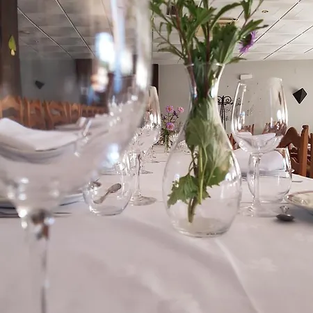 Hotel-residencia Alvargonzalez Хостел Винуэса