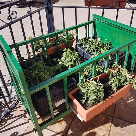 Хостел Hotel-residencia Alvargonzalez *